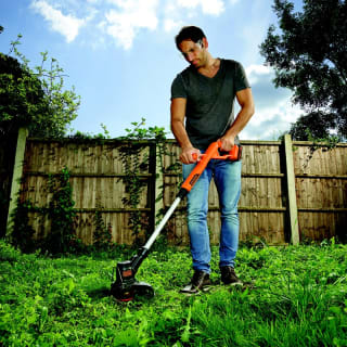 289787-black-and-decker-cordless-strimmer-2