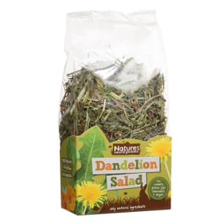 Natures Natural Goodness Dandelion Salad
