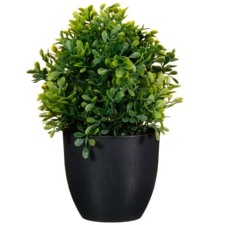 297350-Leafy-Plant-Pot-2