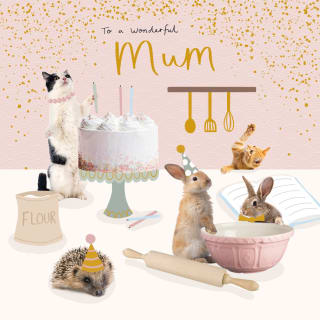 301168-to-a-wonderful-mum-card