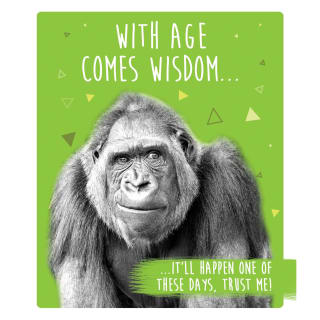 301170-happy-birthday-monkey-card