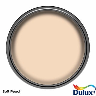 305179-dulux-matt-soft-peach-2_5l-paint-3