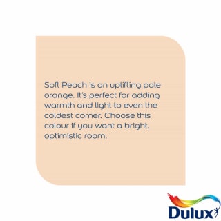 305179-dulux-matt-soft-peach-2_5l-paint1