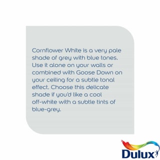305187-dulux-matt-cornflower-white-2_5l-paint-21