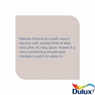 305205-dulux-easycare-kitchen-mellow-mocha-2_5l-paint-2