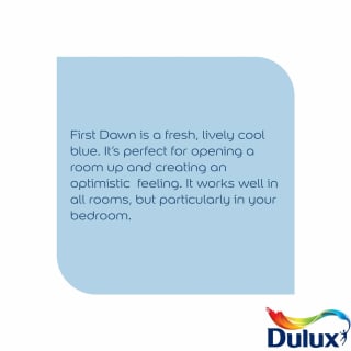 305209-dulux-matt-first-dawn-2_5l-paint-21