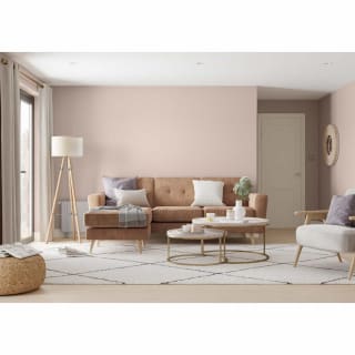 305256-dulux-matt-soft-truffle-2_5l-paint-4