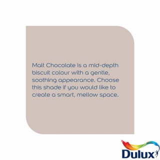 305261-dulux-matt-malt-chocolate-2_5l-paint1
