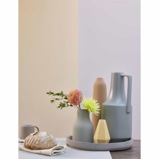 305324-dulux-silk-soft-peach-2_5l-paint-4