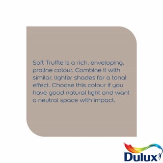 305382-dulux-silk-soft-truffle-2_5l-paint-21