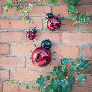 379484-342024-ladybird-wall-art