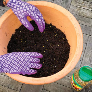 309721-miracle-gro-continuous-release-plant-food-1kg1