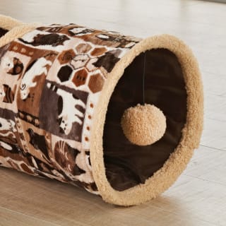 314327-cat-tunnel-brown