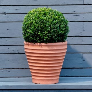 Small Moroccan Planter - Terracotta