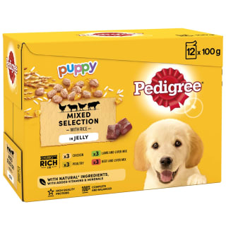 Pedigree Puppy Dog Food in Jelly 12pk