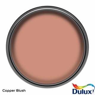 317713-dulux-matt-copper-blush-2_5l-paint-3