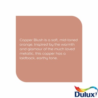 317713-dulux-matt-copper-blush-2_5l-paint