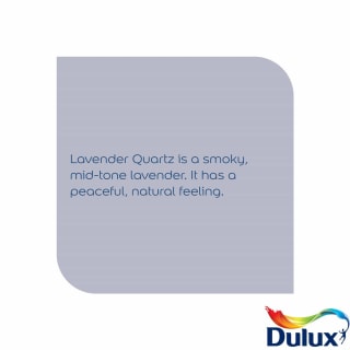 317716-dulux-matt-lavender-quartz-2_5l-paint