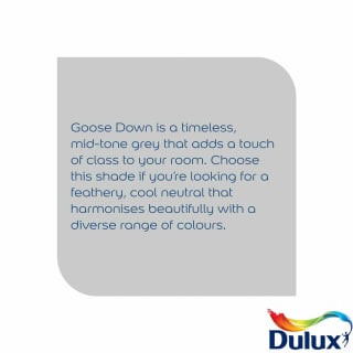 317724-dulux-silk-goose-down-2_5l-paint-2