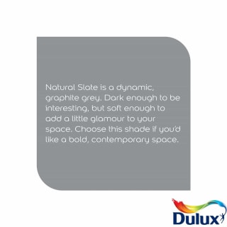 317736-dulux-silk-natural-slate-2_5l-paint-2