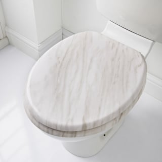 Marble Toilet Seat