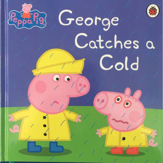 334201-peppa-pig-board-book-george-catches-a-cold