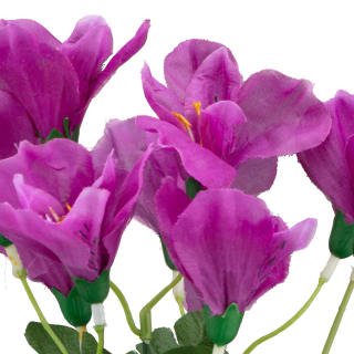 335248-small-bunch-purple-2