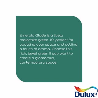 335674-dulux-matt-emerald-glade-2_5l-paint-3