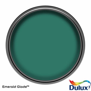 335674-dulux-matt-emerald-glade-2_5l-paint-4