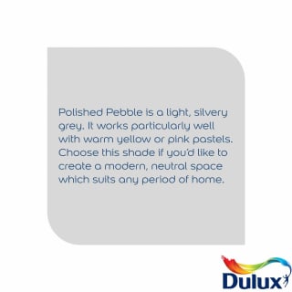335959-dulux-silk-polished-pebble-5l-paint-2