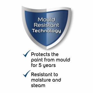 337161-dulux-bathroom-polished-pebble-2_5l-paint-3