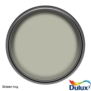 338556-dulux-weathershield-all-weather-protection-smooth-masonry-paint-green-ivy-5l-paint-2