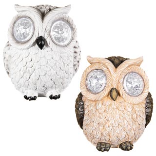 393255-353655-crystal-eyes-owl-group