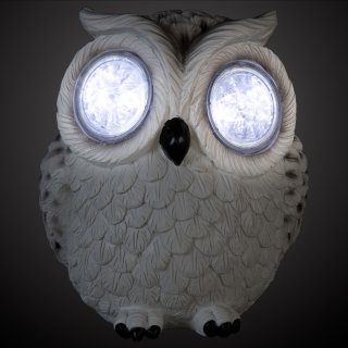 353655-crystal-eyes-owl-white-copy