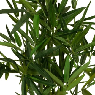 380348-343196-46cm-bamboo-in-pot-close