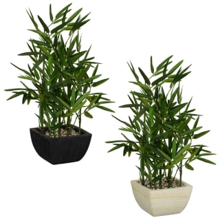 380348-343196-46cm-bamboo-in-pot-main