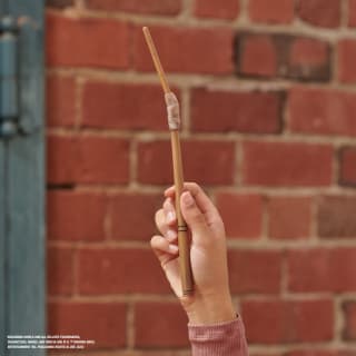 345650-harry-potter-mystery-wand-6