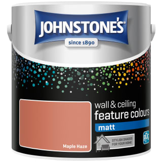 346774-johnstones-feature-wall-matt-paint-2_5l-maple-haze-3