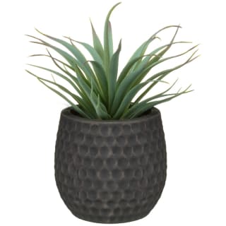 Shrub Succulent in Ceramic Pot - Grey