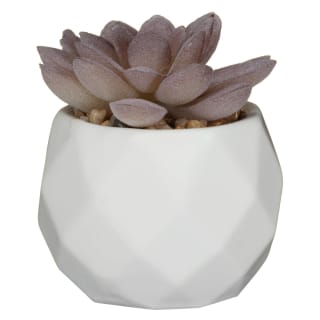 Mini Geometric Succulent - Pink