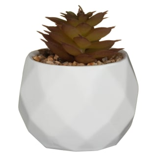 Mini Geometric Succulent - Red