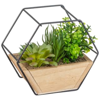 Foliage In Hex Frame