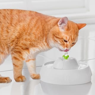 383817-355791-drinking-fountain-2