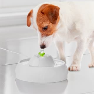 Fetch & Feast Pet Drinking Fountain 1.1L