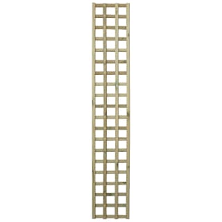 Tatton Trellis 30 x 180cm