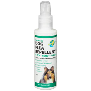 Paragon Flea Repellent