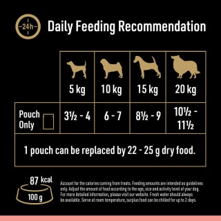 359094-cesar-deliciously-fresh-wet-dog-food-pouches-favourites-in-sauce-12x100g-3