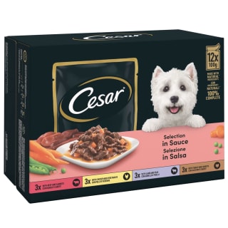 Cesar Deliciously Fresh Wet Dog Food Pouches Favourites in Sauce 12 x 100g