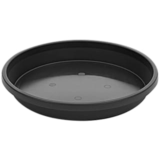 Saucer Planter - Black