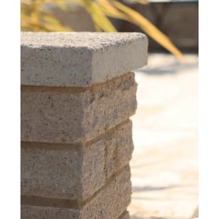 Coping 55 x 13.6 x 50mm - Grey